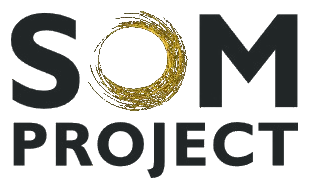 SOM Project